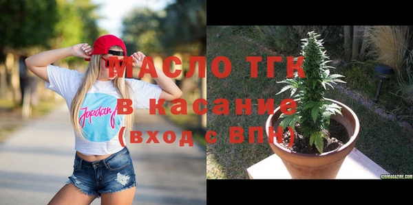 мет Алексин