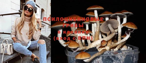 мет Алексин