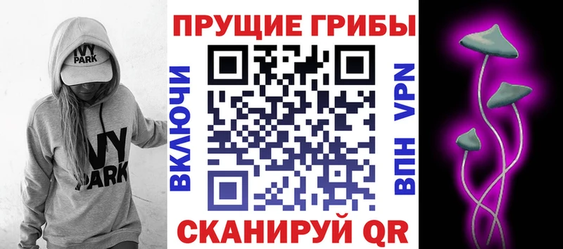 закладка Новороссийск Псилоцибиновые грибы мицелий