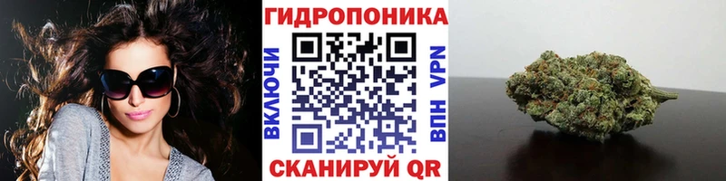 закладки  Новороссийск  Бошки марихуана Ganja 